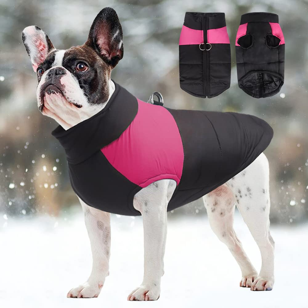 Manteau Pour Chien Avec Harnais, Veste Chaude Et Imperméable