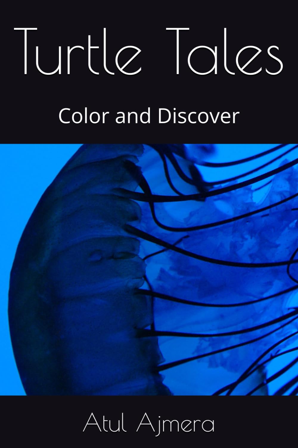 Turtle Tales: Color and Discover