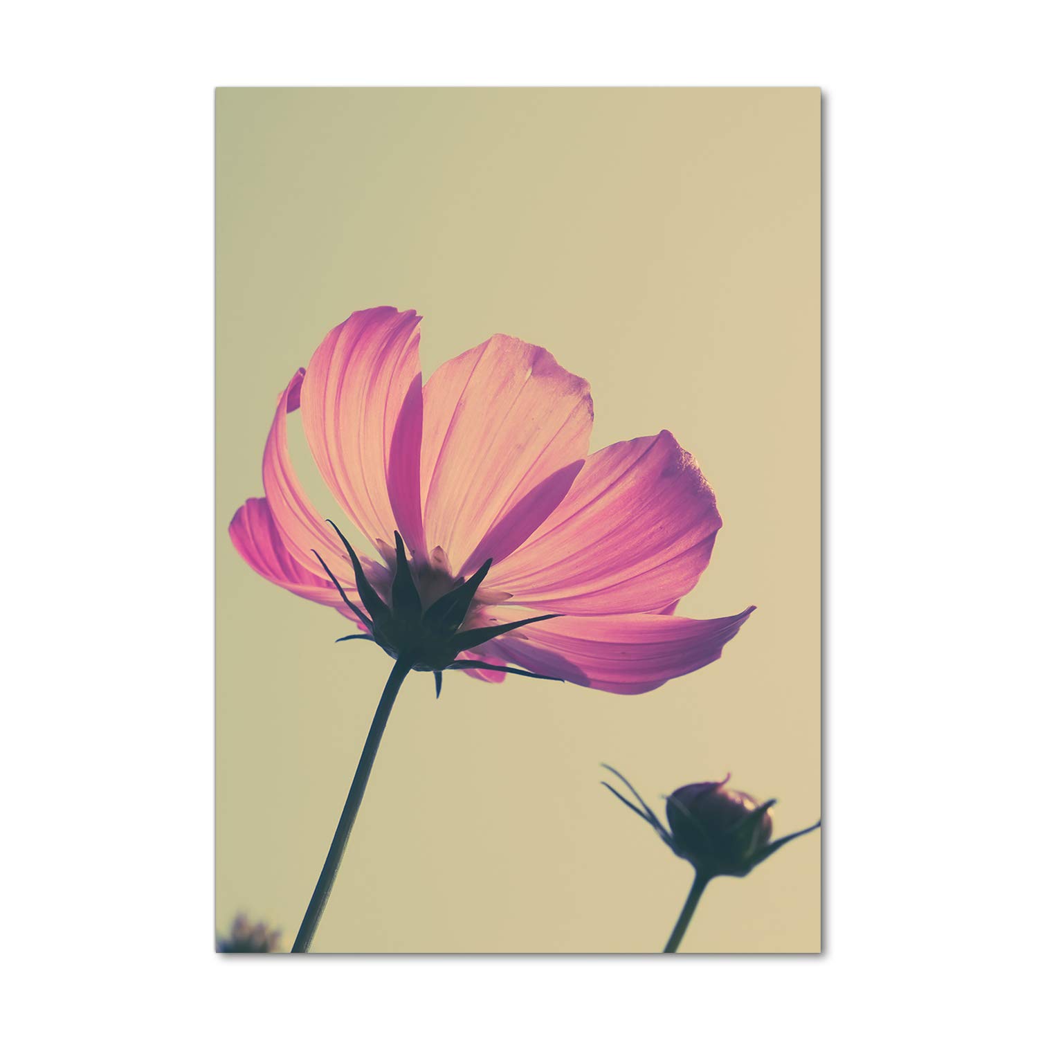 Impression sur verre acrylique haut de gamme Tulup 70x100 cm au design mural chic