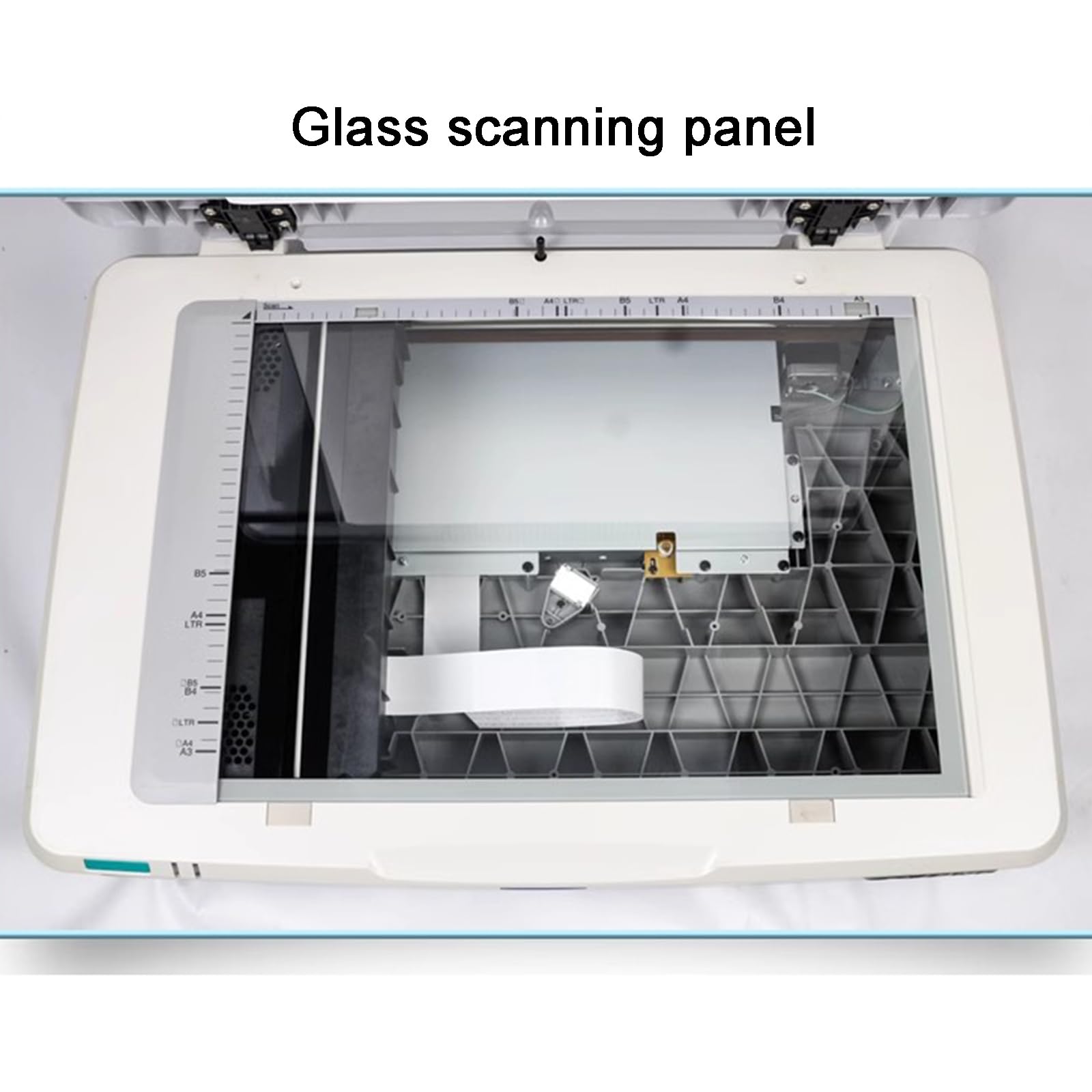 Scanner Piano per Documenti A3, Risoluzione 1200 X 600 DPI Scanner per Foto E Libri, Dimensioni di Scansione Massime 300 X 432 Mm, per Biblioteche, Scuole O Piccoli Uffici