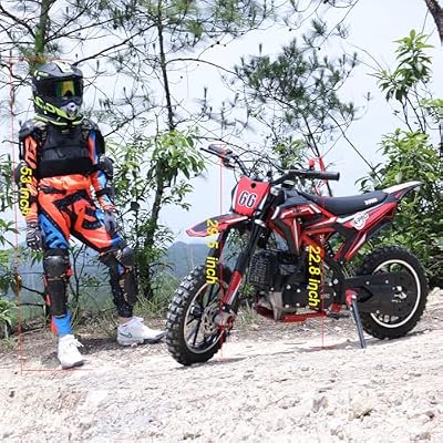 X-PRO Hawk Mini Dirt Bike, 40CC Gas Power 4-Stroke Dirt Bike, Pull Start, 10 Wheels! (Black, New Decals), DB-Z010