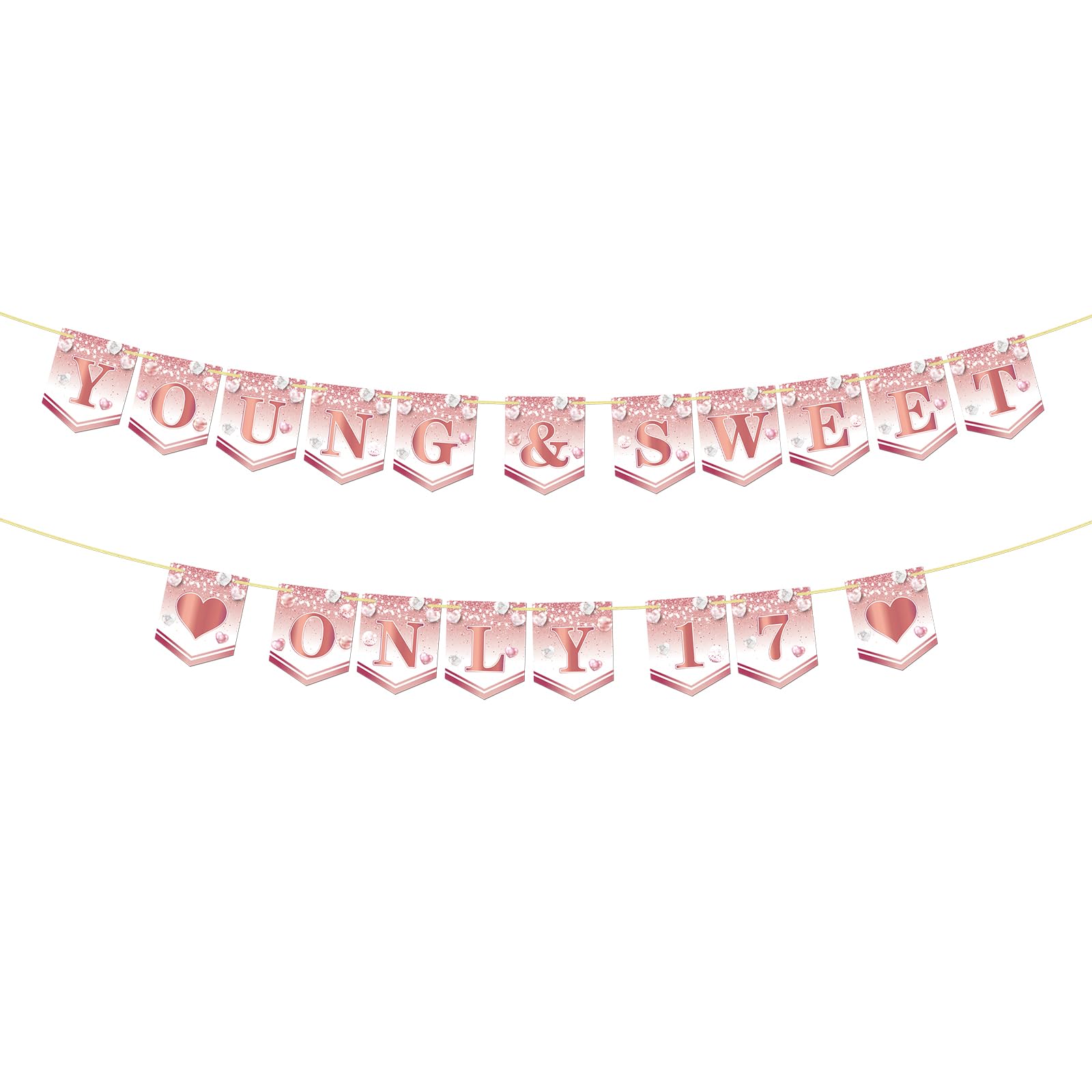 Young & Sweet Only 17 Banner Girl's 17th Birthday Cheers to 17 Years Birthday Anniversary Party Decoration Supplies Rose Gold Seventeen Themed Print Bunting Banner