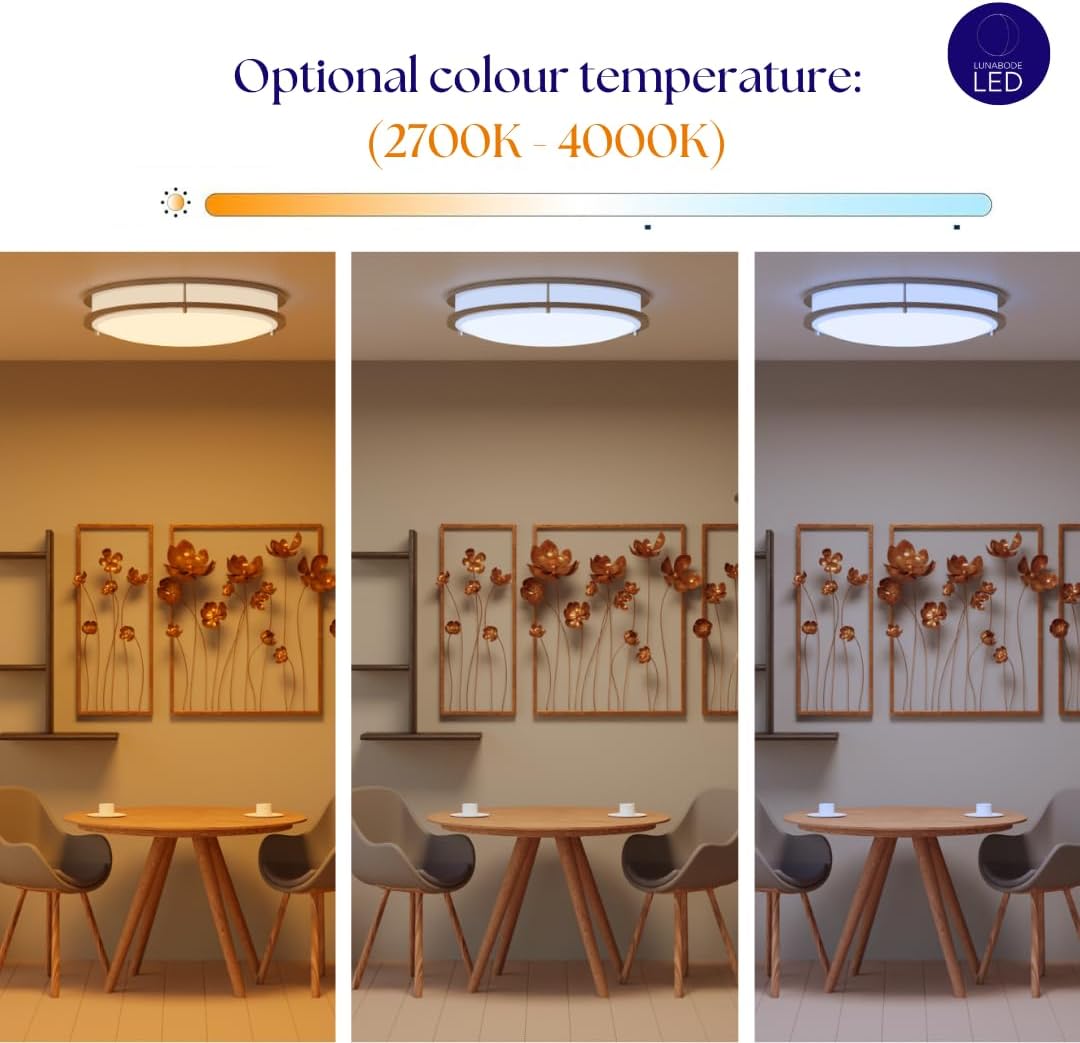 12-Inch Double Ring Dimmable LED Flush Mount Ceiling Light, 20W (95W Equivalent), 1400lm, 2700K Warm White, Brushed Nickel Finish Steel, ETL Listed, Commercial or Residential 2 Pack