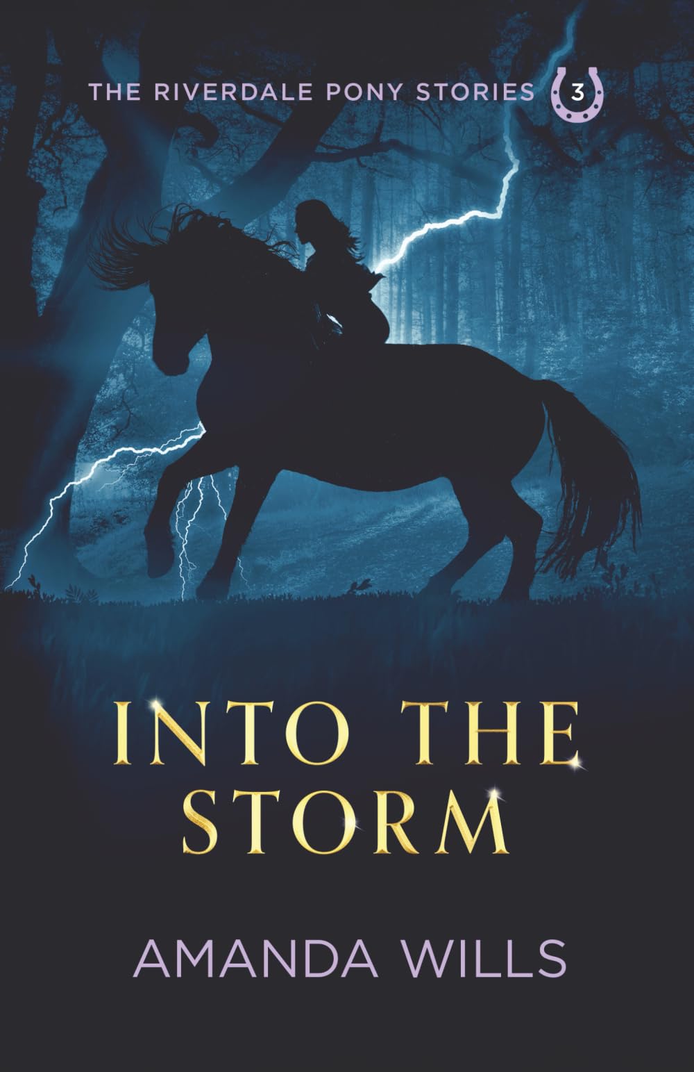 Into the Storm: 3 (The Riverdale Pony Stories)