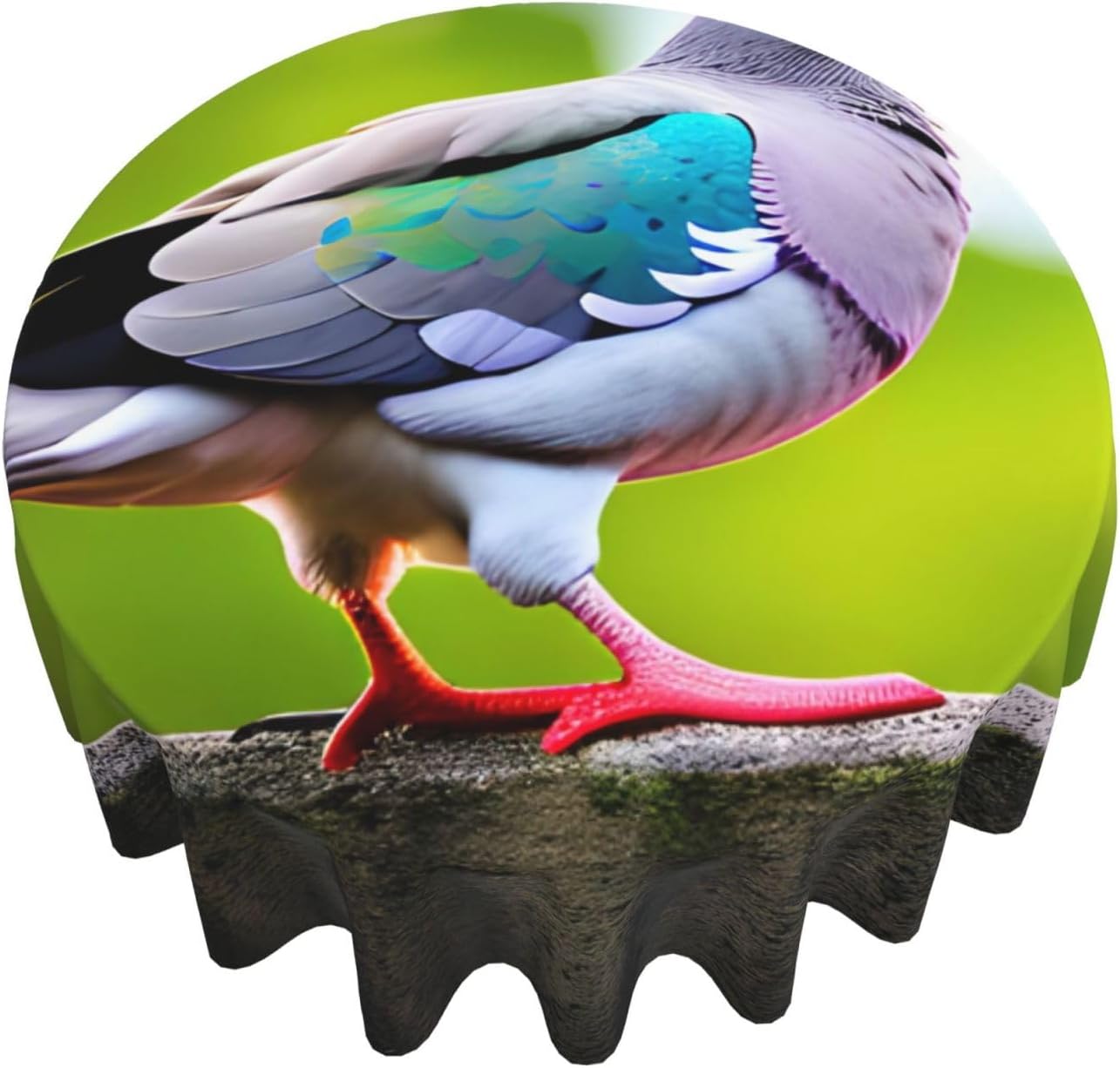 Cartoon Pigeon 3 Print Wrinkle Free Dining Table Cover for Birthday Party Farmhouse Tablecloths Up to 60 x 60 Inches