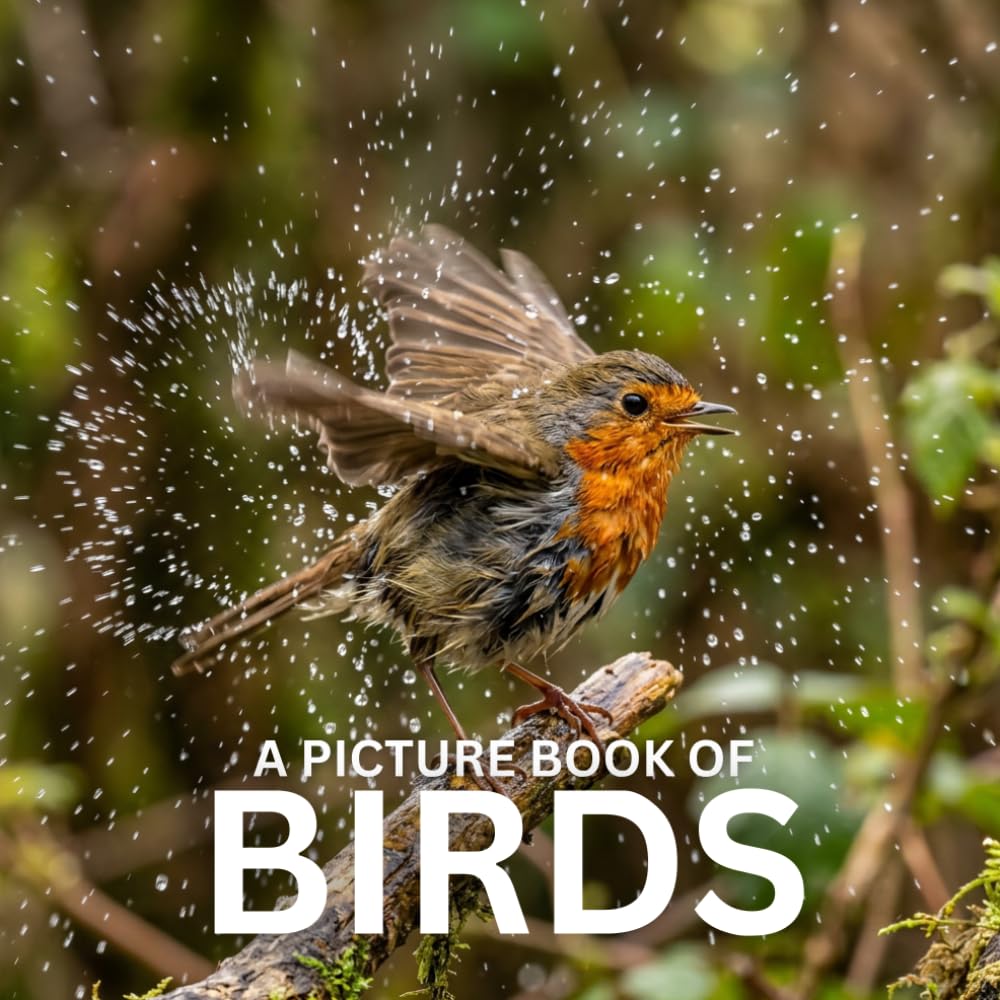 A Picture Book of Birds: A Beautiful and Calming Photo Book for Seniors, Memory Care, and Bird Lovers – Designed to Bring Joy, Relaxation, and Gentle Engagement