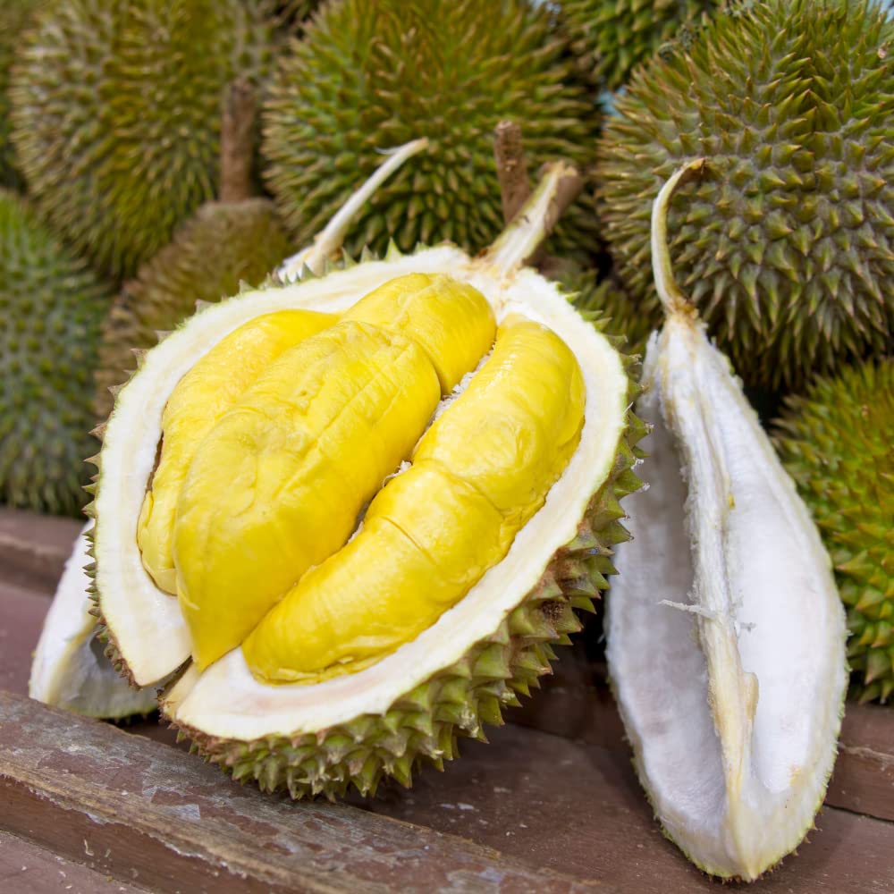 Garden Durian Wafers # B3445, 7-Ounce (Pack of 8)