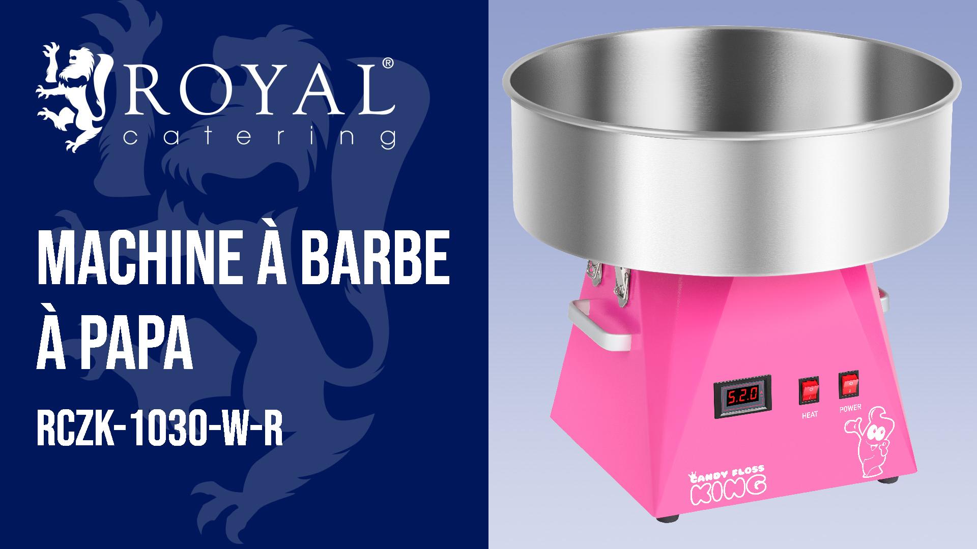 Royal Catering RCBL-LEDSB - 100 Bâtonnets Lumineux LED Barbe à Papa 7 Modes RVB - Sans BPA Piles Incluses