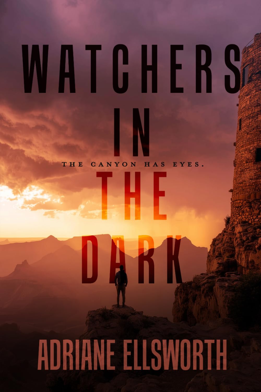 Watchers in the Dark (Grand Canyon Thrillers)