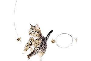 Cat Dancer: The Wriggling Toy for Enchanting Cat Capers
