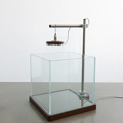 1.8 Gallon Small Fish Tank with LED Light & Wood Stand - 8 Inch Nano Aquarium Betta Tank Starter Kit - Includes Cleaning Tool, Cloth & Mat for Desktop, Office, Bedroom