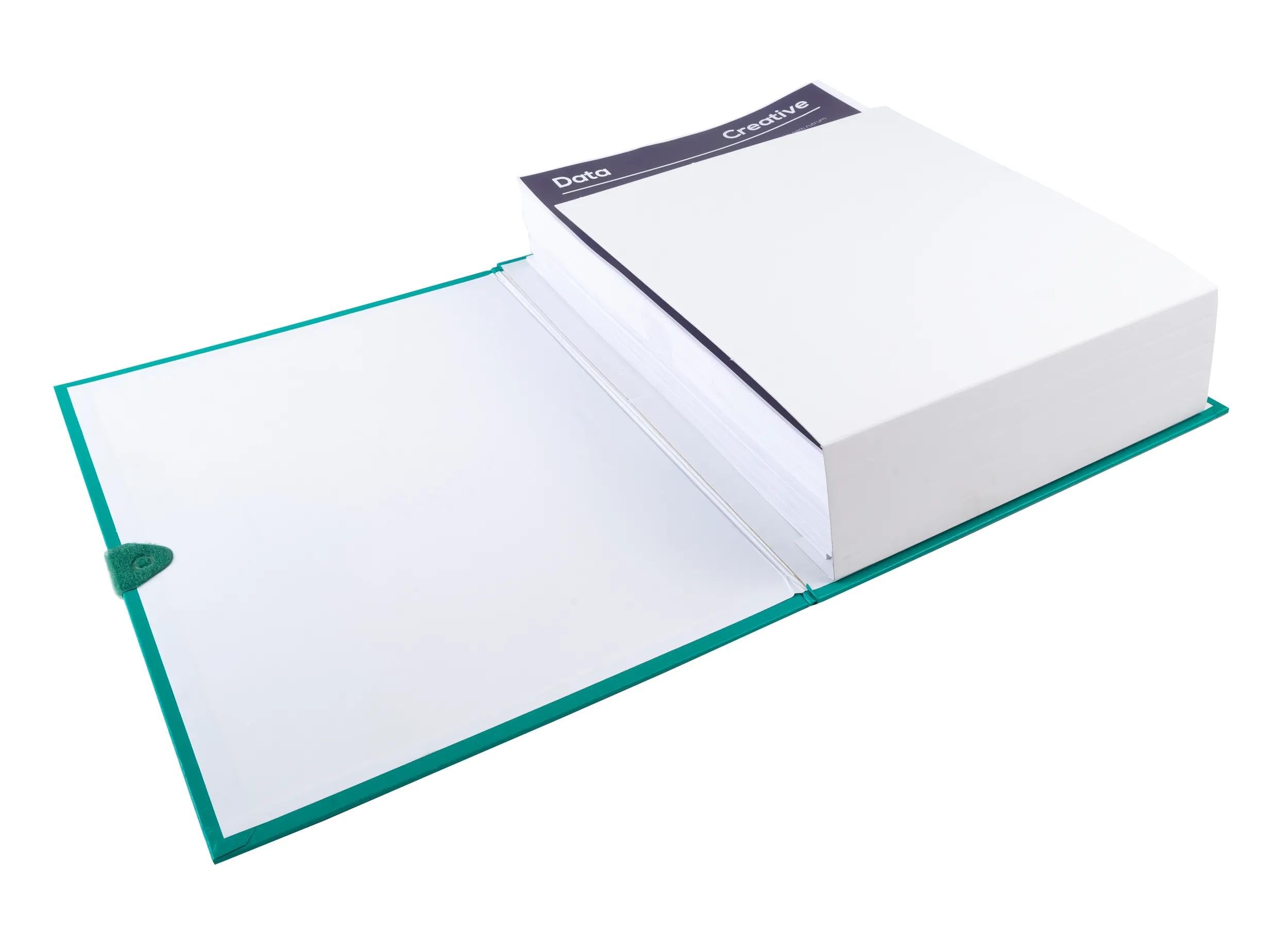 Exacompta 10 Cartelle Soffietto Balacron Verde