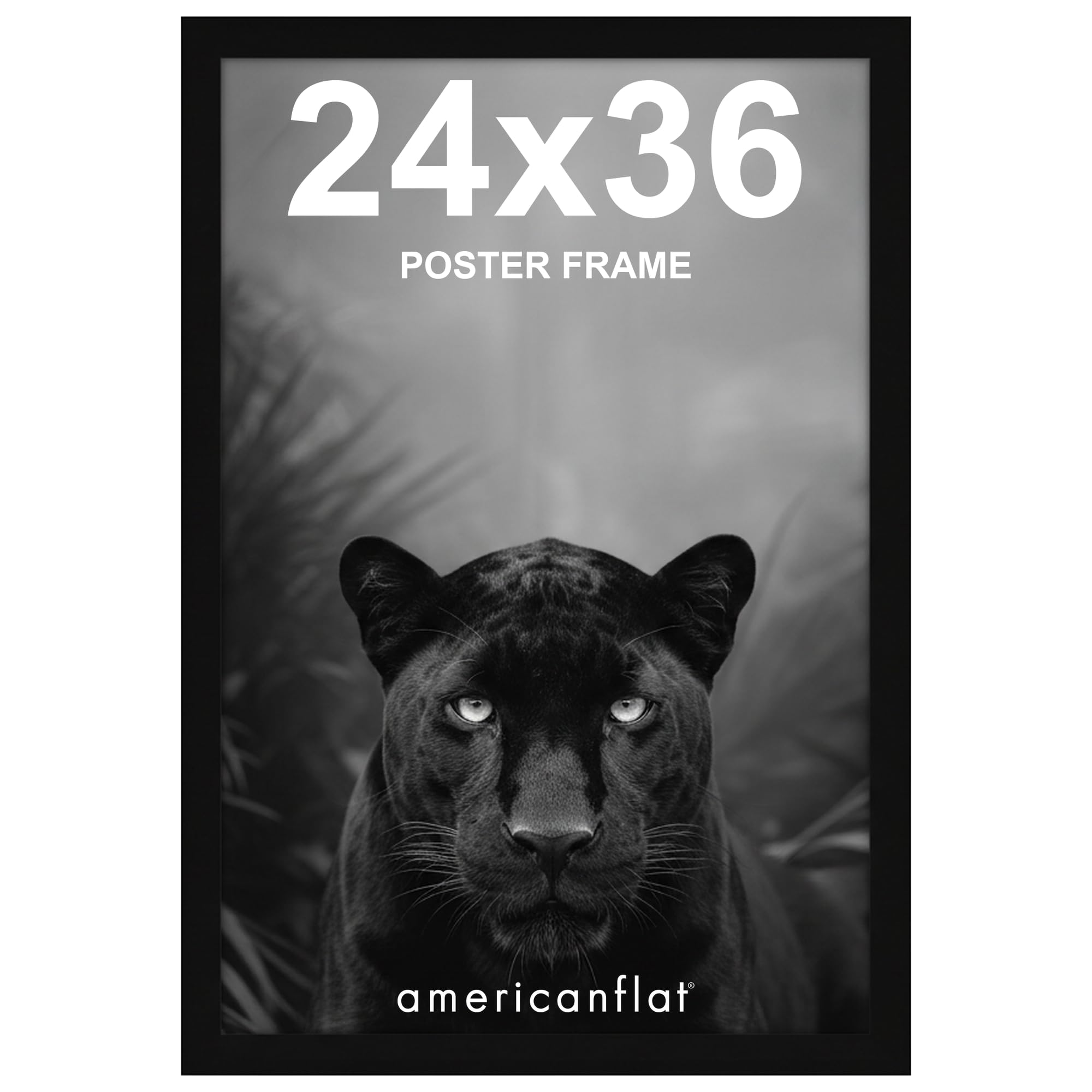 Americanflat Epic Frame