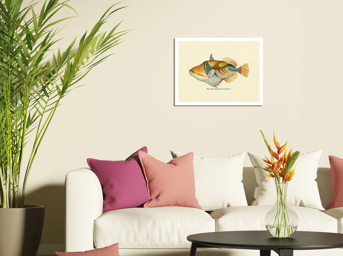 Nakunuku (Baliscapus Aculeatus) - Humuhumunukunukuapuaa - State Fish of Hawai’i - Vintage Hawaiian Color Postcard c.1905 - Bamboo Fine Art 290gsm Paper (Unframed) 12x16in