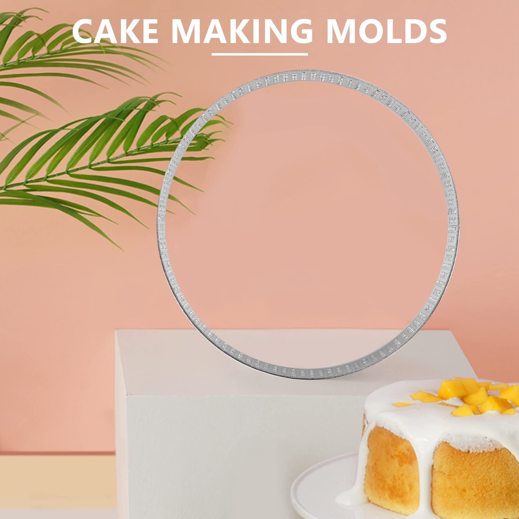 Lot De 6 Oules à Gâteau Ronds En Acier Inoxydable De 8,9 C, Petits