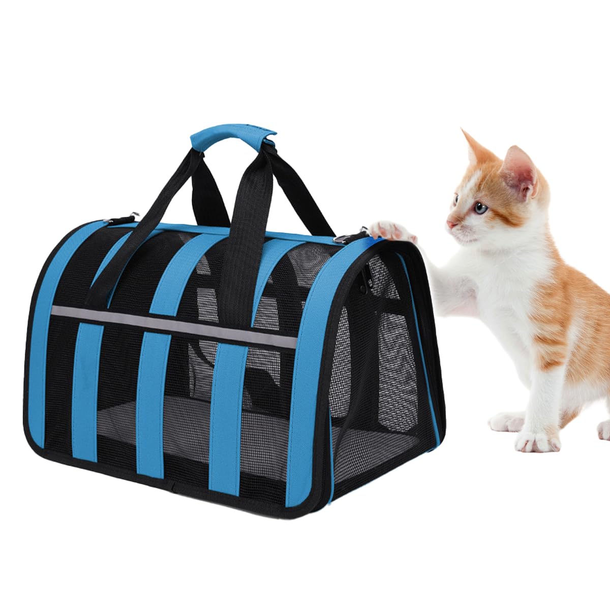 Treer Pet Carrier for Dogs and Cats, Portable Foldable Travel Carrier Bag with Handles and Shoulder Strap for Small dogs, Kittens or Puppies (33 * 25 * 22cm,blue)