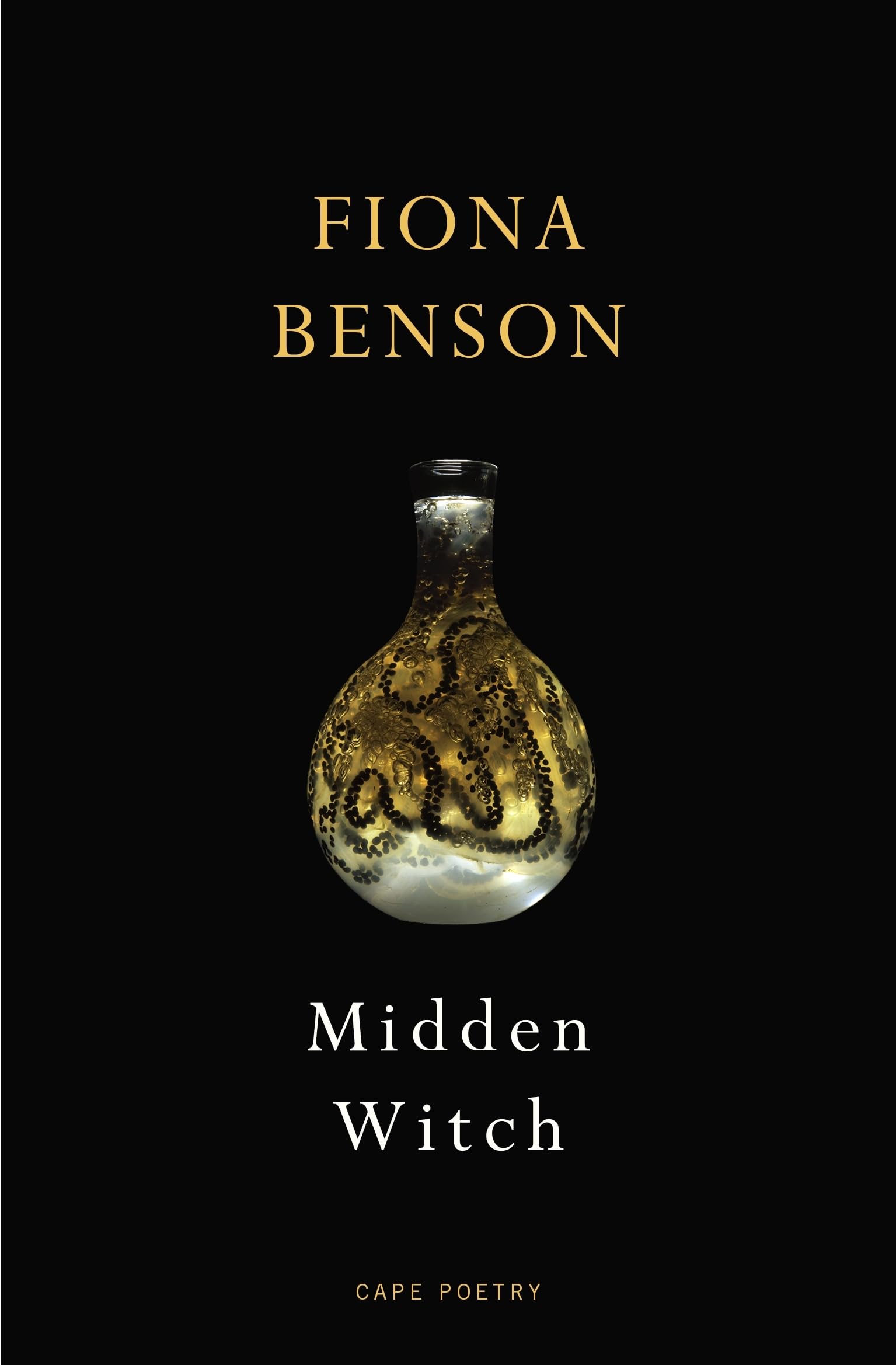 Midden Witch: From the Forward Prize-winning poet
