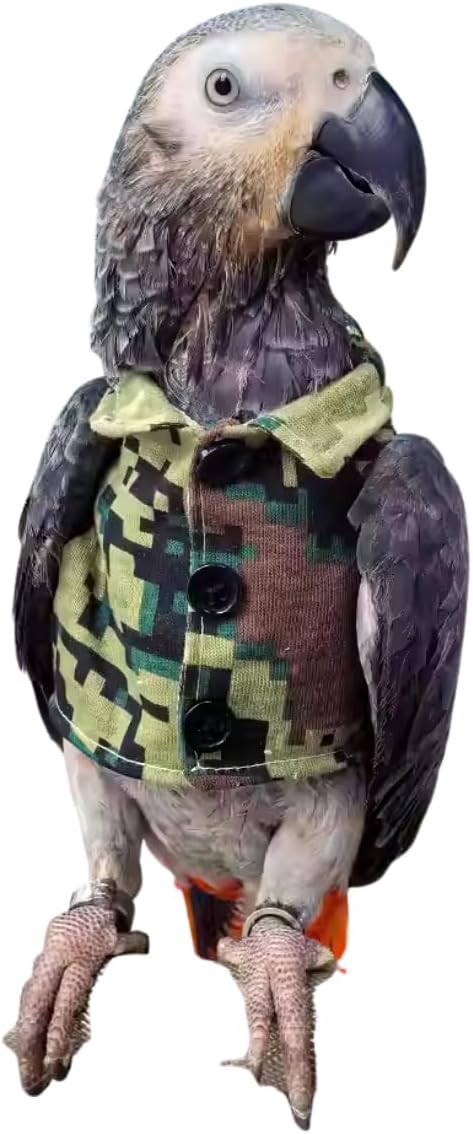 Bird Clothes Christmas Party Birthday Costume for Parrot Halloween Pet Birds Clothes Birds Cosplay Outfit Handsome Camouflage Coat for African Grey Macaw Cockatoo (Sulphur-Crested Cockatoo)