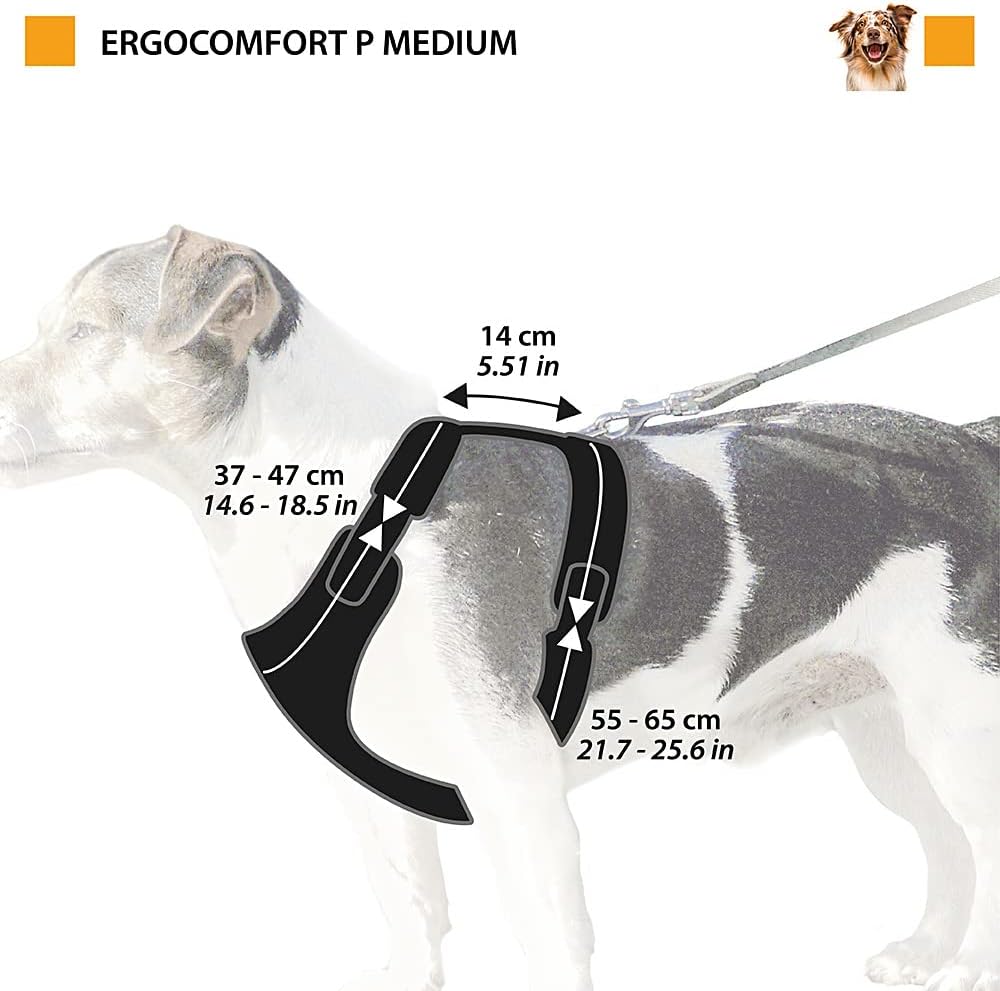 Ferplast Medium Size Dog Harness ERGOCOMFORT Medium, Adjustable Dog Harness, Comfortable, Padded, Double Micro-Adjustment Closure, Quick Release, Blue