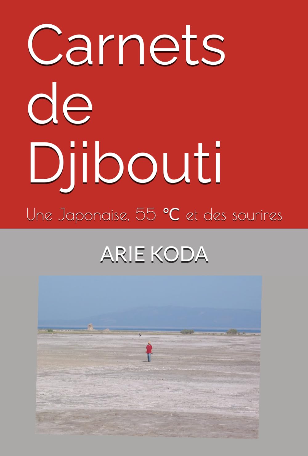 Carnets de Djibouti: Une Japonaise, 55 ℃ et des sourires