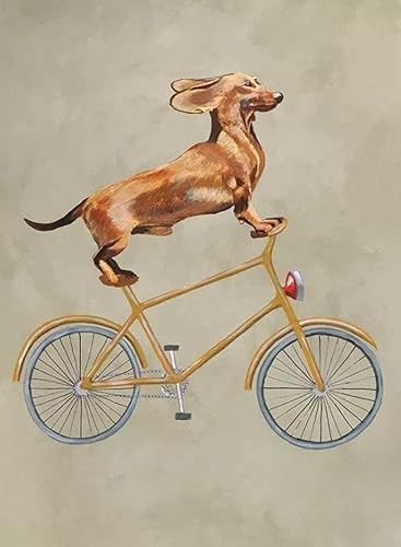 Amazon Diy ダイヤモンド塗装キャンバスキット ダックスフント犬が自転車に乗る 5dフルドリルダイヤモンド 大人 子供 初心者向けの手工芸品の装飾アートギフト 刺しゅうキット 通販