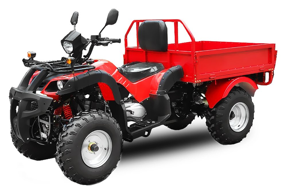 Quad 200cc Jinling DUMPER automatique + ma