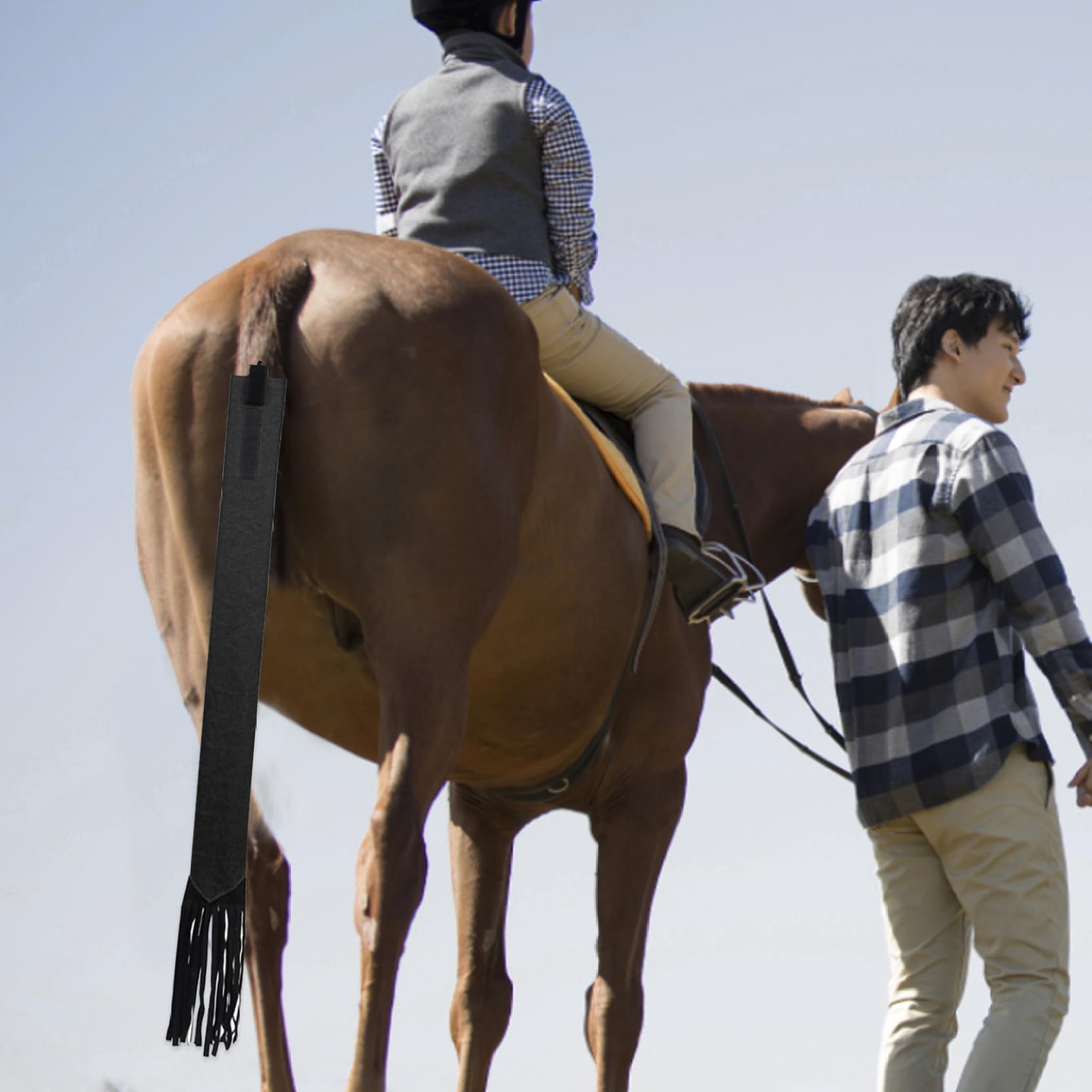 Sac de Queue de Cheval Anti-poussière 22x3 Pouces avec Franges, Rouge