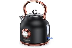 Reteo Retro Electric Kettle: Your Nostalgic Tea-Time Revolution