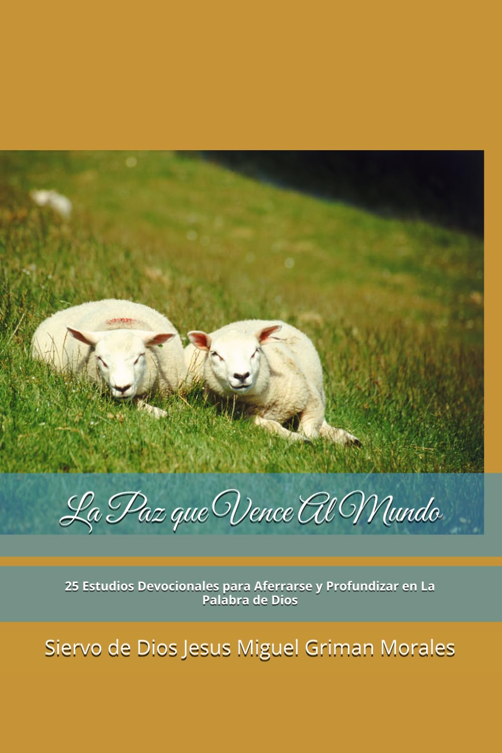 La Paz que Vence Al Mundo: 25 Estudios Devocionales para Aferrarse y Profundizar en La Palabra de Dios
