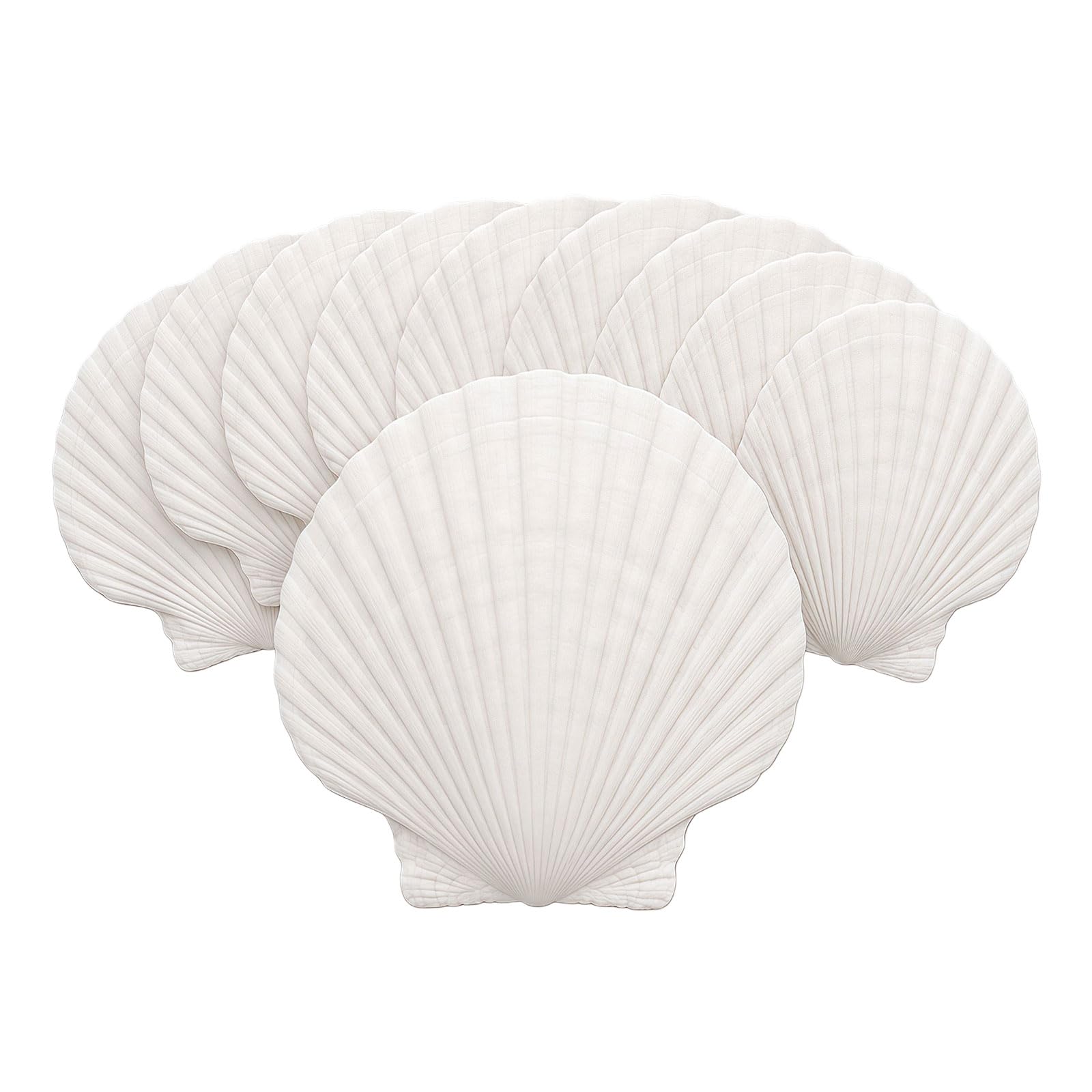 Domefahaso 10 Pack Natural White Scallop Shells, Large 4-5 Inch Sea Shells for Crafts Decorating, Uncoated Raw Seashells