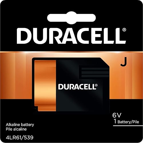 Duracell - Batería alcalina especial AAAA 1.5V - Batería de larga duración - 2 unidades (paquete de 1)
