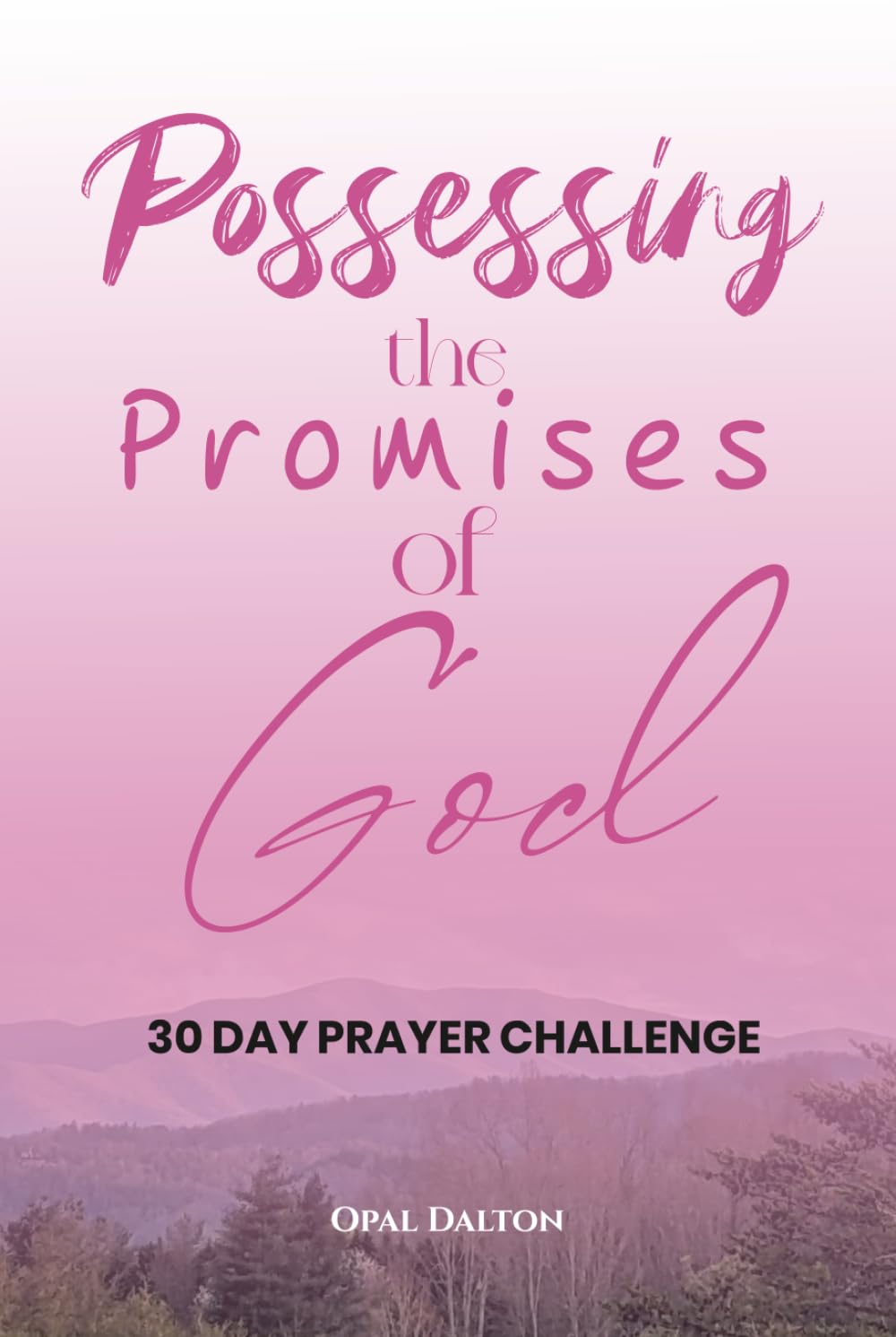 Possessing the Promises of God: 30 Day Prayer Challenge