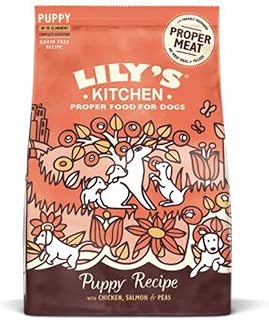 Lily's Kitchen Puppy Chicken and Salmon Complete Dry Dog Food (1 kg) product image