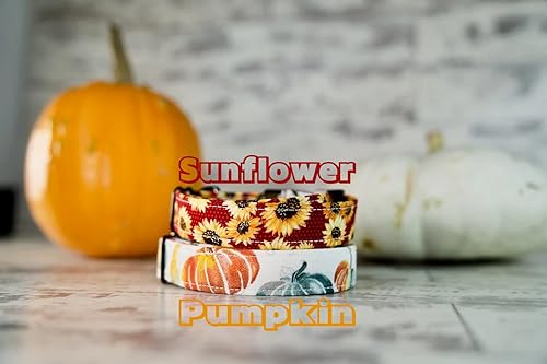 Miniatura 2 de Fall Style Dog Collars w/metal buckle, HAND MADE, Custom Engraved Personalized Collar, 1 inch wide, designer collars, Floral or Pumpkin