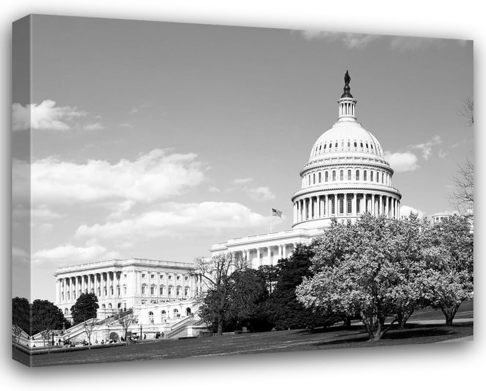 ArtDirect Capitol Hill Washington D.C. in cherry blossom season 45x36 Huge Gold Ornate Wood Framed Canvas Giclee Art by Highsmith, Carol