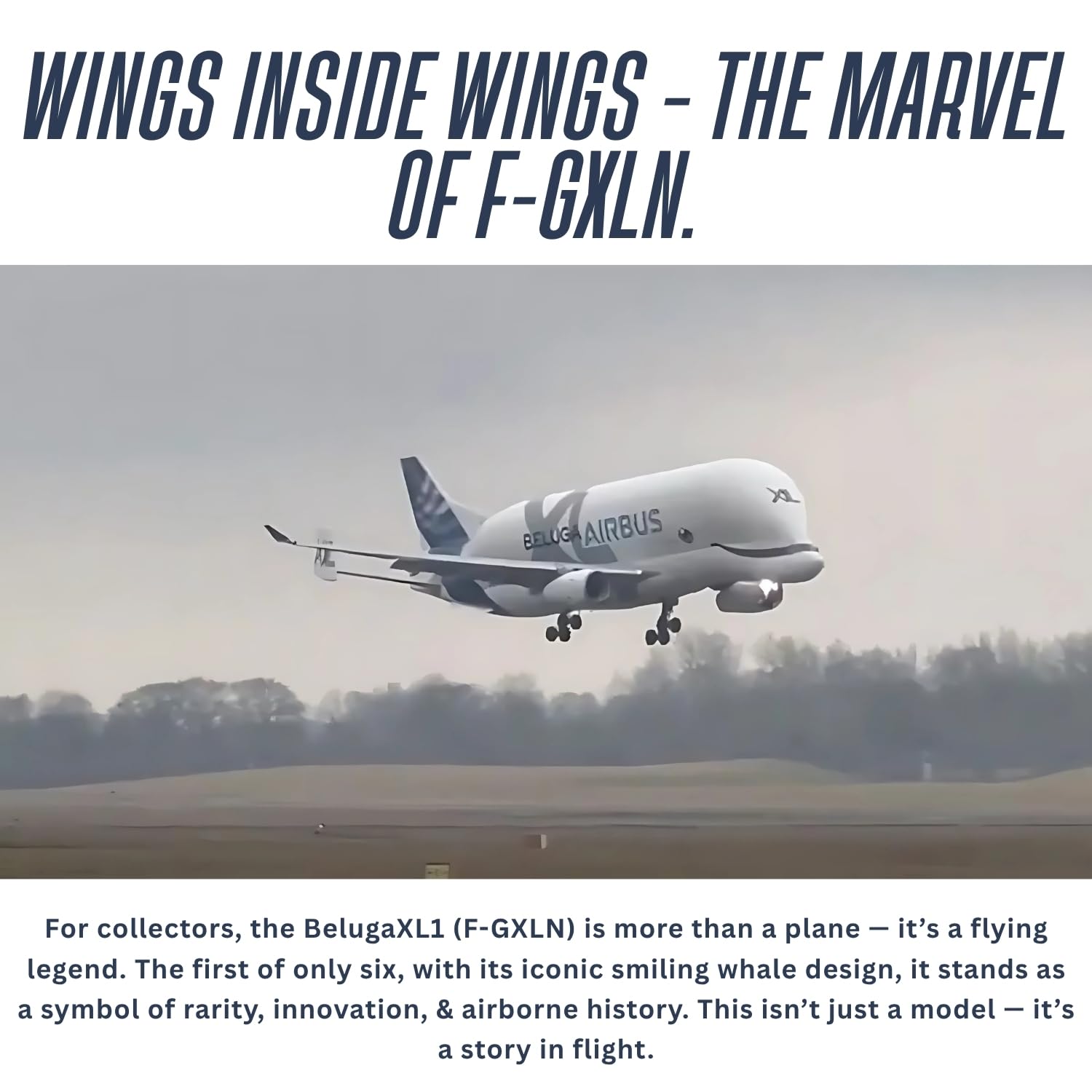 Sage Square Airbus A330-700L Beluga XL 20cm Aircraft Model | Die-Cast Metal Plane with Functional Landing Gears | Aviation Collectible Display | Realistic Airplane for Home, Office, Gifting - Image 3 thumbnail
