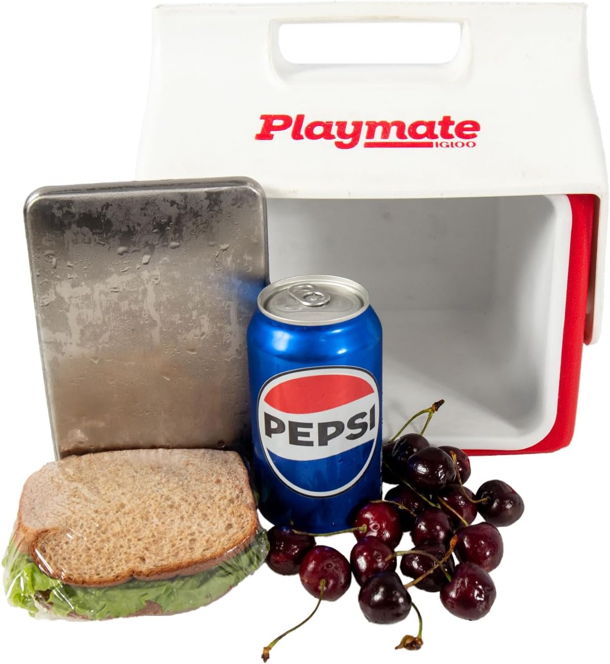 Stainless Steel Ice Pack for Cooler, Hiking and Fishing, Reusable and Long-Lasting
