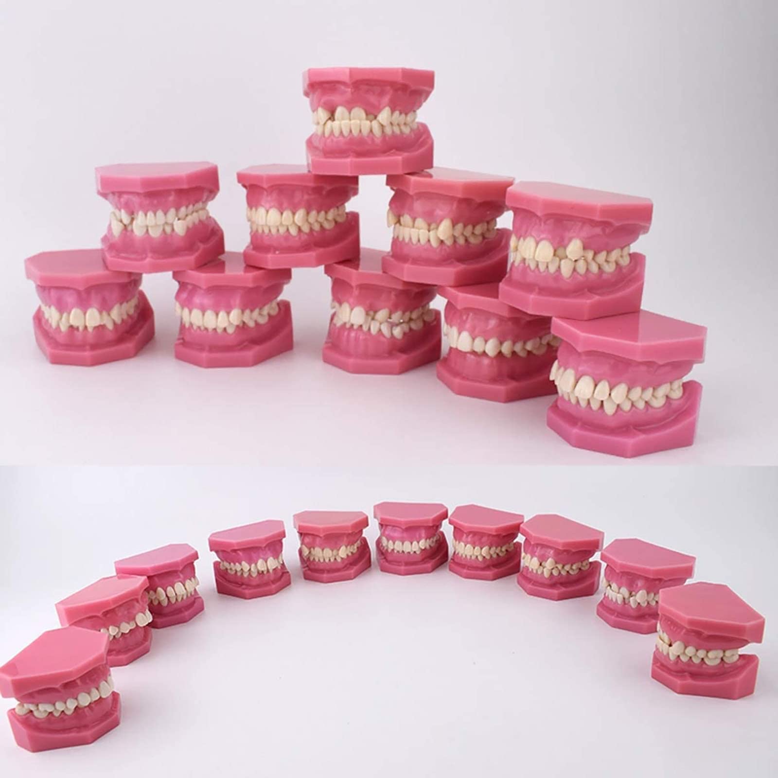 Dentysta Korekta Ortodontyczna Model Anatomiczny Do Nauki Stomatologii Badanie Zębów Dorosłych Model Dydaktyczny 10 Szt. Model Demonstracyjny Klasyfikacji Wad Z