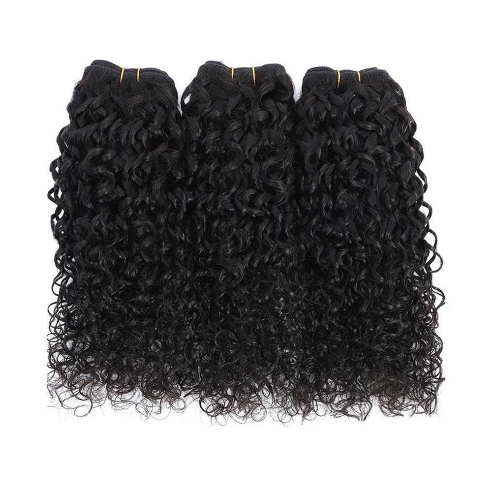 Brazilian Virgin Kinky Curly Human Hair 3 Bundles
