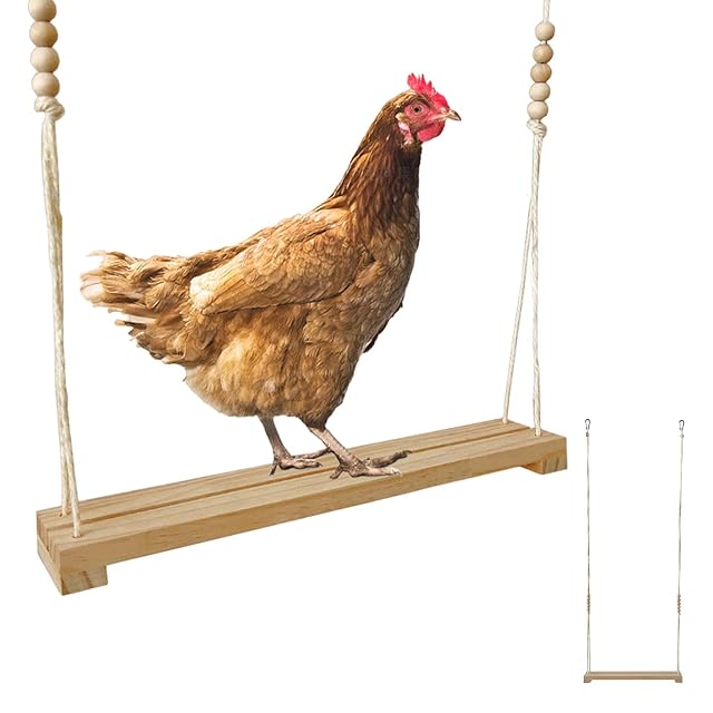 Columpio de Percha para Pollos, Columpios de Pollo para gallineros - Escalera para Percha de Pollo