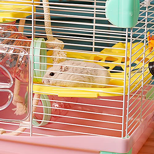 Gabbia per criceto Roborowski Gabbia per criceto