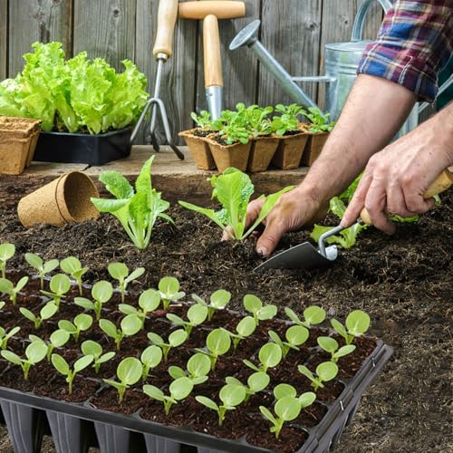 Plateau de semis extra-profond récipient germination plastique robuste - 4