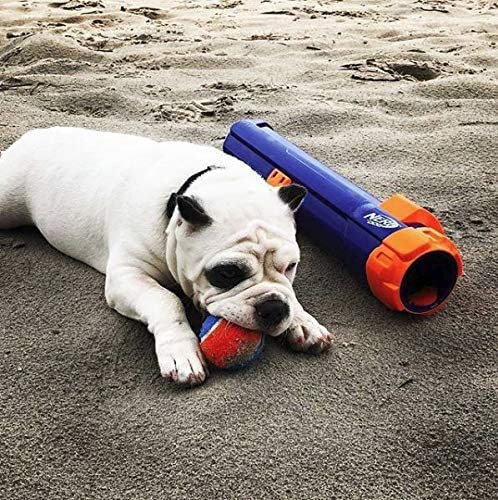 NERF PETS LANÇADOR DE BOLA