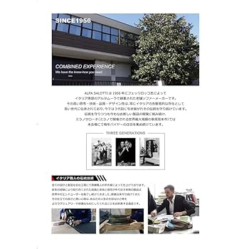 総革張り ソファー 本皮 イタリア カウチ ALPA SALOTTI ヘンリー Amazon｜総革張り ソファー 本皮 イタリア カウチ ALPA SALOTTI