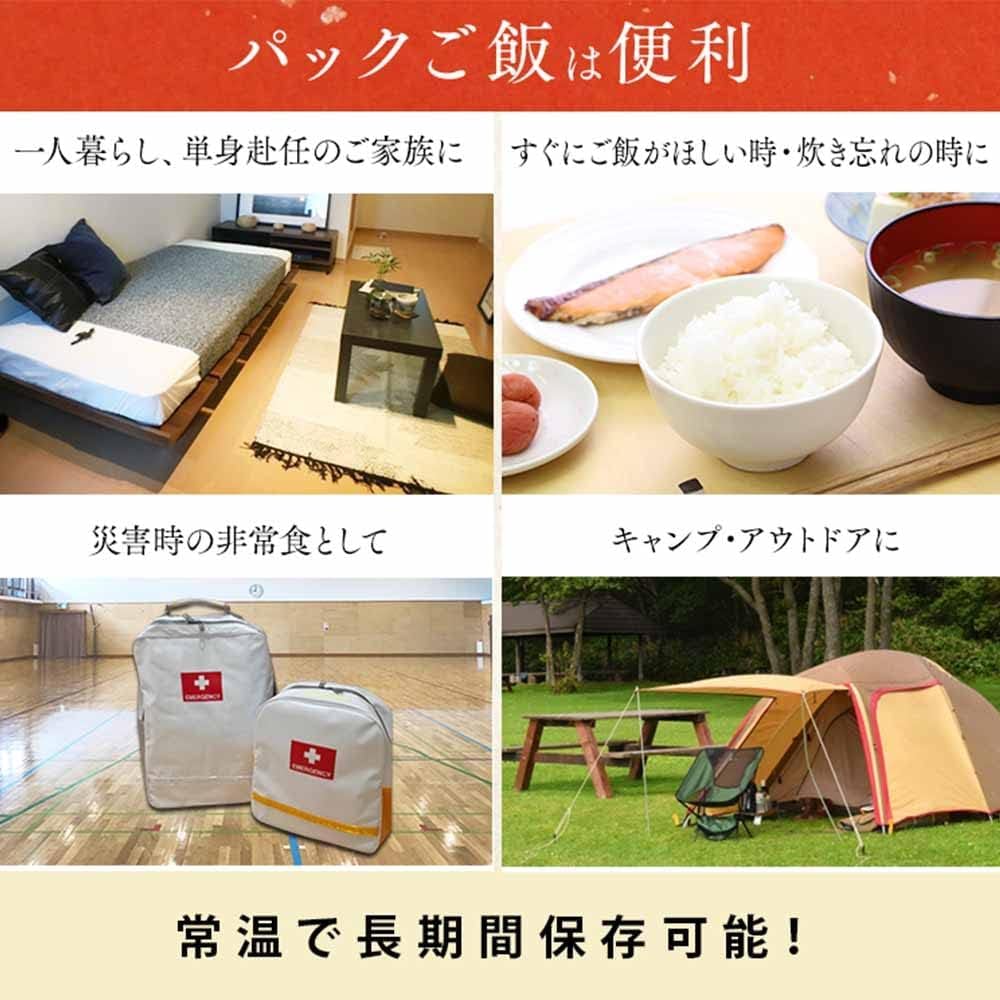 Amazon | パックご飯 アイリスオーヤマ 120g ×20食 レトルトご飯