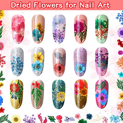 image for 6 Boxes Dried Flowers for Nail Art, Audab 190 Pcs Nail Dried Flowers M