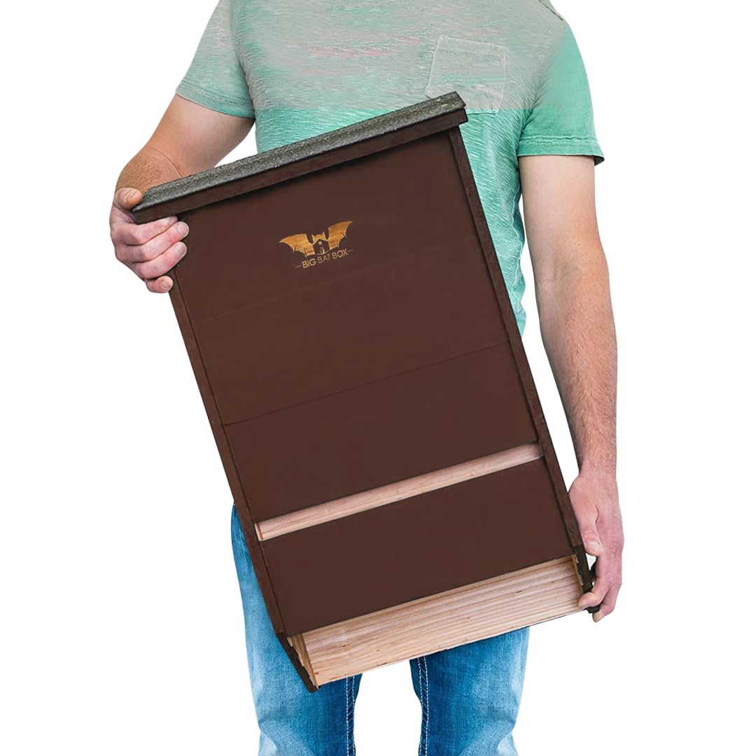 WildYard Bat House - Brown, 3-Chamber, Up to 200 Bats - Outdoor House Kit with Pole Mount, Pole Kit & Wall Mount - Three-Chamber Boxes for Outside