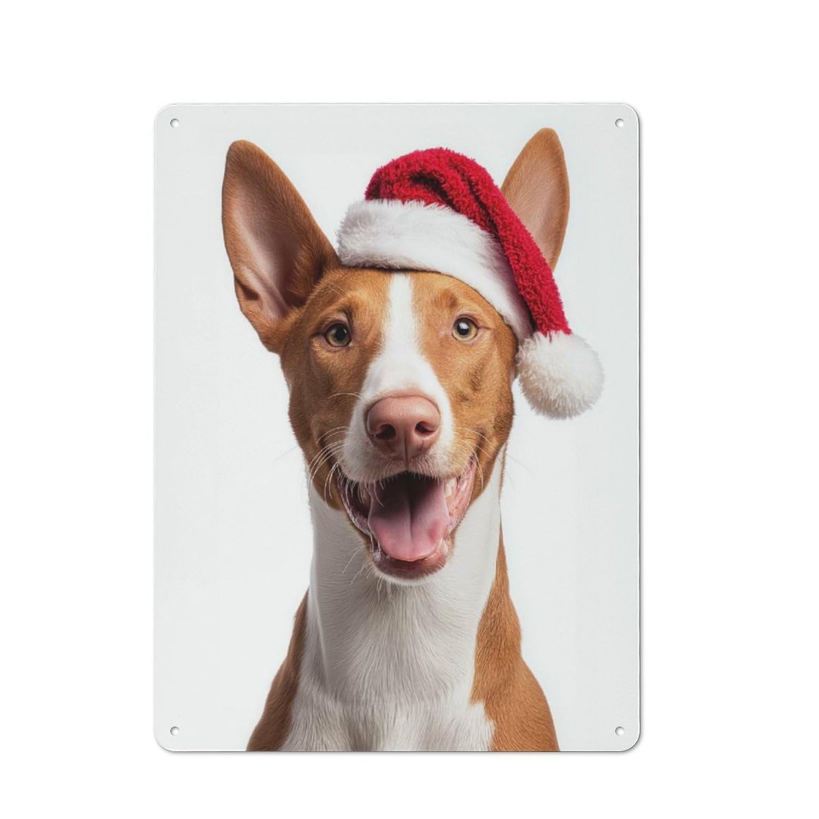 Junmoney Ibizan Hound Dog With Santa Hat Portrait Vintage Tin Sign 40X30cm For Garden Room Or Summerhouse, For A Newly Organised Room And Metal Sign Display
