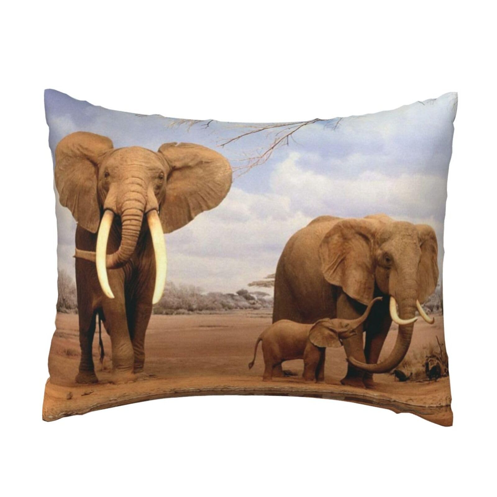 GSGCSBYMLG Elephant Family printed Pillow Case 20x26in Cushion Cover