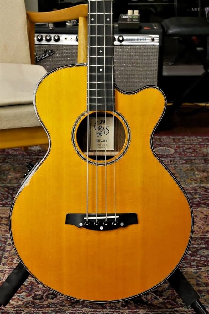 Amazon | EB-2400 / Natural Yellow/エレアコベース | エレキベース